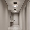 Helitemis 1-Light Vintage Semi Flush Mount Ceiling Light, Black and