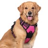 rabbitgoo Dog Harness Large Dog No Pull Pet Harness with