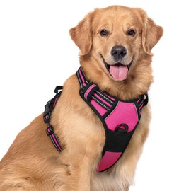 rabbitgoo Dog Harness Large Dog No Pull Pet Harness with 2 Leash Clips, Adjustable Soft Padded Pet Vest, Reflective No-Choke with Easy Control Handle for Training or Walking, Rose Red, XL