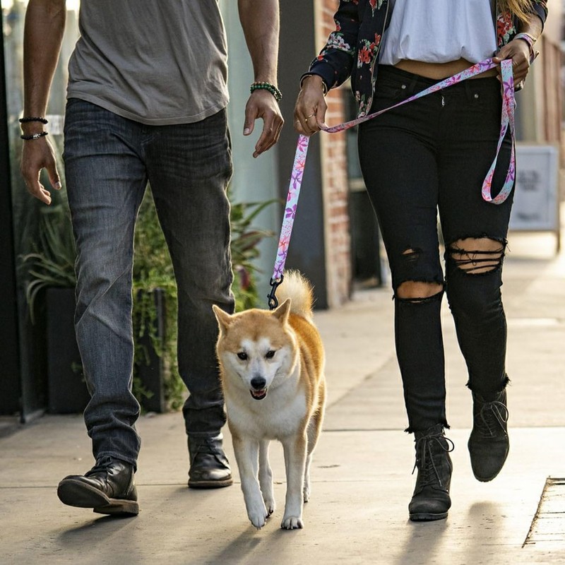 WOLFGANG/WOLFGANG WildWolf LEASH (S Size) Width 0.6 x Length 48.0