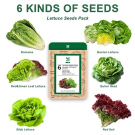 14 PODs Lettuce Seed Pod Kit for AeroGarden, Included Red and Green Leaf, Romaine, Bibb Lettuce, Boston Lettuce, Grow Anything Seed Starter Pod Kit Compatible with All Hydroponics (14-Pod)