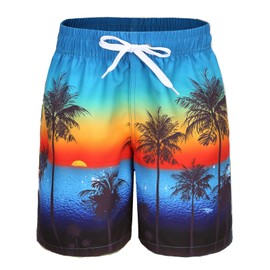Aisyee Big Boys Swim Trunks Beach Swim Shorts Quick Dry Boards Shorts for Kids with 3D Prints Beach Size 12/10-12 Years