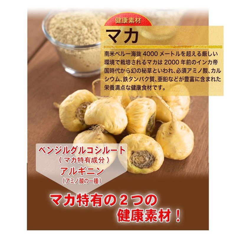 大日ヘルシーフーズ 霊芝にんにくの力 30粒入×2袋 にんにく卵黄 霊芝 高麗人参 マカ 亜鉛 配合 サプリ