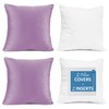 Nestl Throw Pillow Inserts Pack of 2 with Velvet Soft