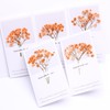 LYFORTZY Orange 70 Pcs Mini Babies Breath Pressed Flower for