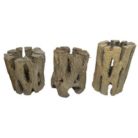 Awesome Industries 3 Natural Cholla Wood Air Plant Display Holders 2 inch Individually Unique Round Decorative Stands