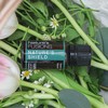 Nature's Fusions Nature's Shield, 100% Pure and Natural Essential Oil