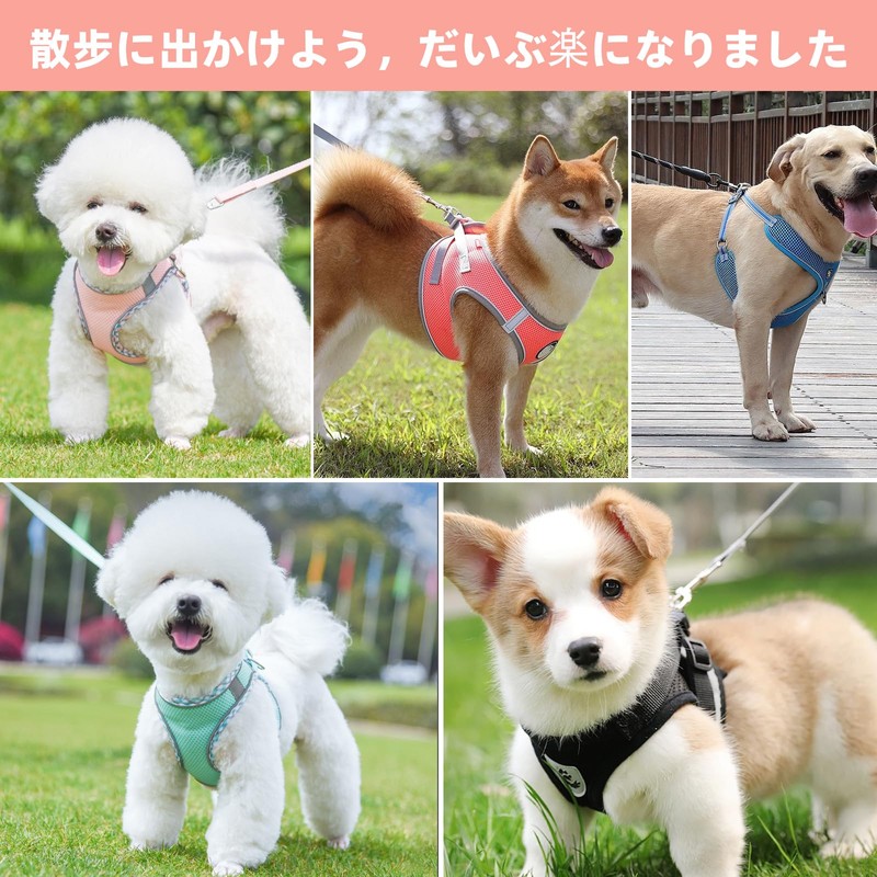 犬 ハーネス リードセット 負担が少ない 軽量 通気 犬用ハーネス小型犬 猫ハーネス首輪 胴輪 簡単着脱