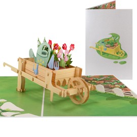 Sweetpopup® 3D Pop-Up Card - Greeting Card, Birthday Card, Voucher Card for Birthday, Time, Retirement, Father's Day, Mother's Day, Easter, Folding Card Flowers & Garden 061