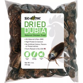 Exo-Morphs Dried Dubia Natural Chicken Treat, 4 oz. Bag