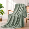 Excervent Soft Flannel Flannel Fleece Twin Size Blanket (60x80 inches,