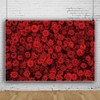 7x5ft Red Rose Floral Backdrop Rose Flowers Wall Background for