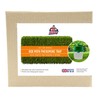 Box Moth Trap - 1 Trap & 4 Pheremone Lures