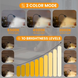AMFUN USB LED Desk Lamp Clip On Light, Clamp Bedside Lamp, 3 Light Mode 10 Dimmable Brightness, Bed Light for Headboard for Studying Working Reading, Adjustable Beam Angle 15°-80°
