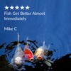 API POND MELAFIX Pond Fish Bacterial Infection Remedy, Safe For