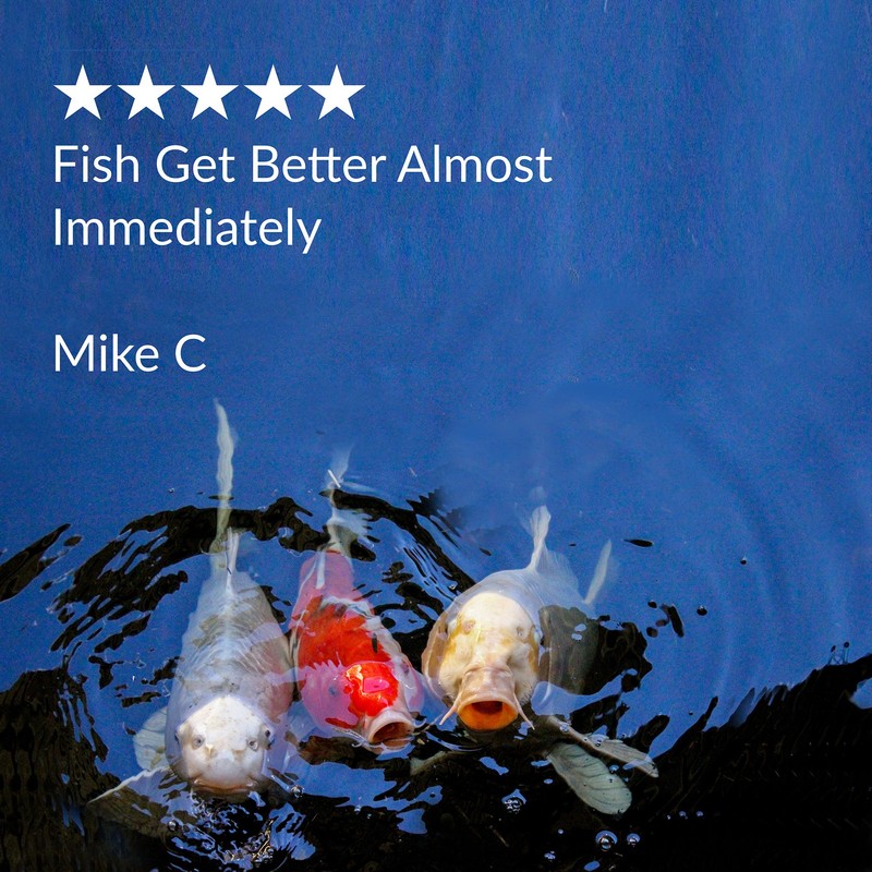 API POND MELAFIX Pond Fish Bacterial Infection Remedy, Safe For