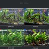 Aquarium Clean Light Back 180 Degree Lighting High Light Transmission