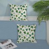 QANOK ST Patricks Day Pillow Covers 18x18 Set of 2,
