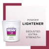 Clairol Bw2 Tub Powder Lightener Extra-Strength 8oz (2pack)