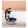 Dehner Lieblinge Water Games Cat Pool, Diameter 30 cm, Height