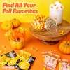 Scripture Candy, Harvest Cards & Orange Flavored Pops, 32 Count