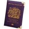 HITHIKA British Passport Holder | UK Passport Wallet | Non EU | PU Leather (Purple)