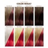 Adore Semi Permanent Hair Color (064 Ruby Red) | Vegan