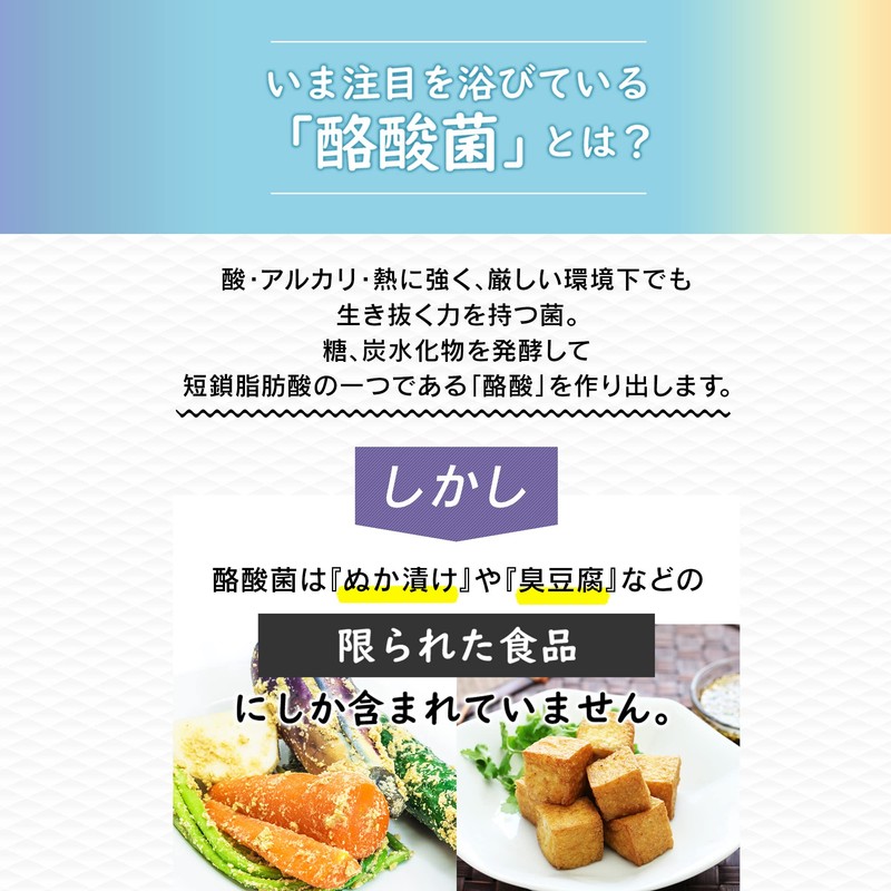 MDCメタボリック マイビオ 酪酸菌 サプリ (30回分 60カプセル) 生菌 (2カプセルに酪酸菌2000万個) プロバイオティクス 乳酸菌