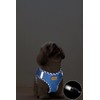 Aiminto Denim Dog Harness & Leash Set, Breathable Mesh, Lightweight,