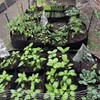 TOOPONE Fabric Garden Bed, 3 x 6 Feet, 8 Grid