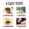 Jiffy Organic Seed Starting 3" Biodegradable Peat Pots (100 Pots)