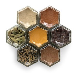 Gneiss Spice Indian Kit: Seven Magnetic Jars Filled with Organic Indian Seasonings (7 Jars, Silver Lids)