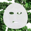 Garnier Beauty Serum Sheet Mask with Niacinamide + Kale, Balancing