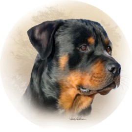 CUSTOM DECOR ROTWEILER ROUND 6 INCH DIAMETER MAGNET FREE SHIPPING