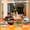 CATPICK Interactive Cat Toys for Indoor Cats Automatic Electric Flying