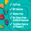 Scooby-Doo Fruit Flavored Snacks, Gluten Free, Kids Snacks, 10 Ct,