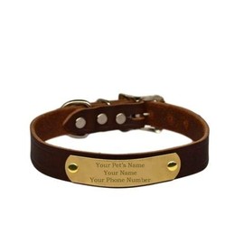 Warner Brand Cumberland Leather Dog Collar (3/4" Width) + FREE Engraved Brass ID tag (18" Fits 13-16" Neck, Rich Brown) USA