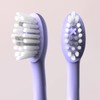 Parent ORDO Sonic Toothbrushes (Pearl Purple)