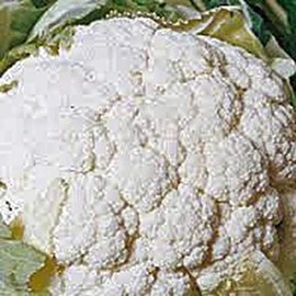 Cauliflower Seed, Snowball Y, Heirloom, Non GMO, 100+ Seeds, Large, Delicious and Healthy, Easy to Grow, Country Creek Acres Brand