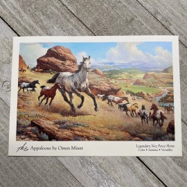 Orren Mixer The Appaloosa Horse Postcard Blank Back 4.25 x 6 Mare and Foal 1999