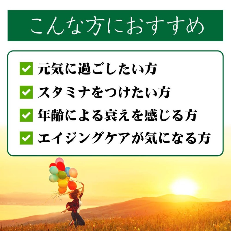 【リプサ公式】 にんにく卵黄 約3か月分×2袋 C-110-2