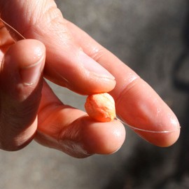 Loon Outdoors Biostrike Strike Indicator: Yellow