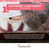 Herbsmith Pure Krill - Wild-Caught Antarctic Krill - Just 1