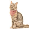 Easter Cat Collar Breakaway with Bandana and Bell for Kitty