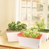 OurWarm Windowsill Herb Planter Box Indoor Set of 3, 10.5