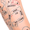 2pcs 19cm / 7.5in Feet Acupoint Model Acupuncture Teaching Aids