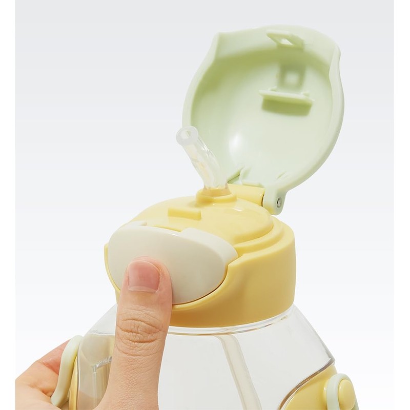 Skater PDSH6DX-A Curious George Water Bottle with Straw, 18.9 fl