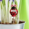 Simply Conserve AM Conservation Group Red Ladybug Indoor & Outdoor