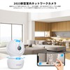 ieGeek 2023 Model 3 Megapixel Indoor Security Pet Camera, Automatic