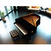 Kaieyres Grand Piano Cover, Velvet Piano Cover Decorative Full black